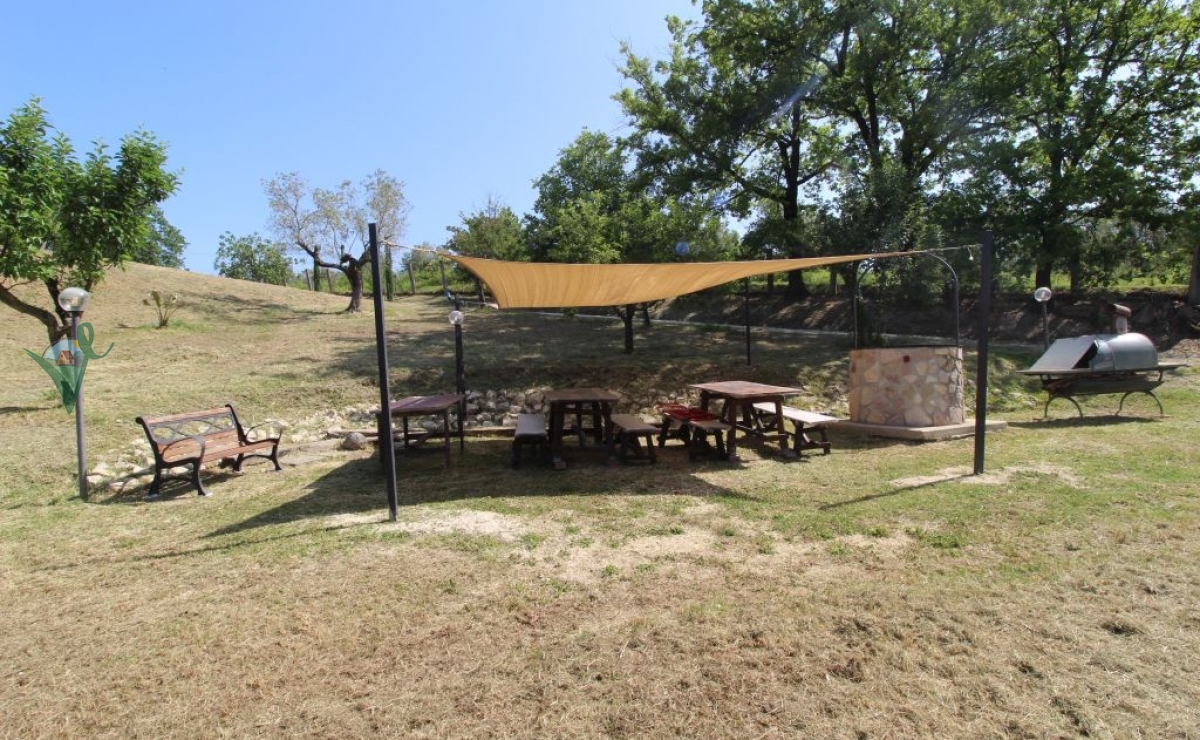 area pic pic