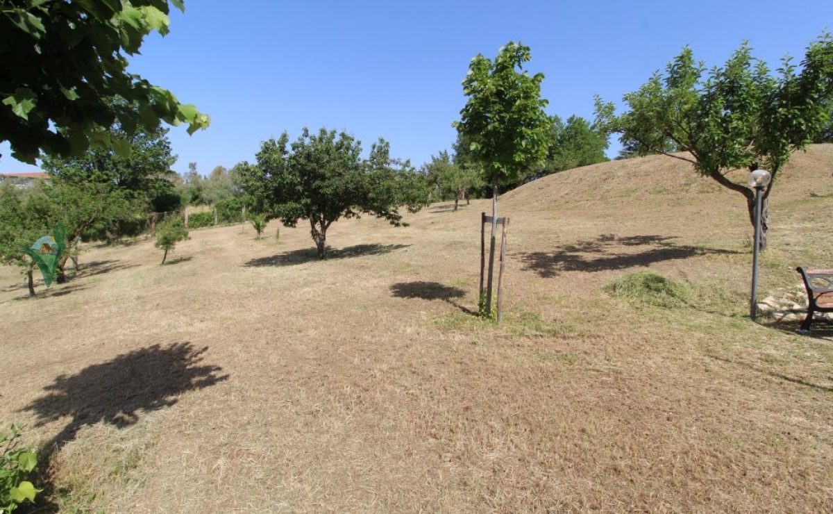 terreno 1