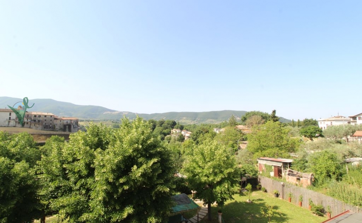 vista 1