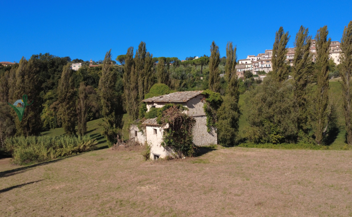 DJI_0448