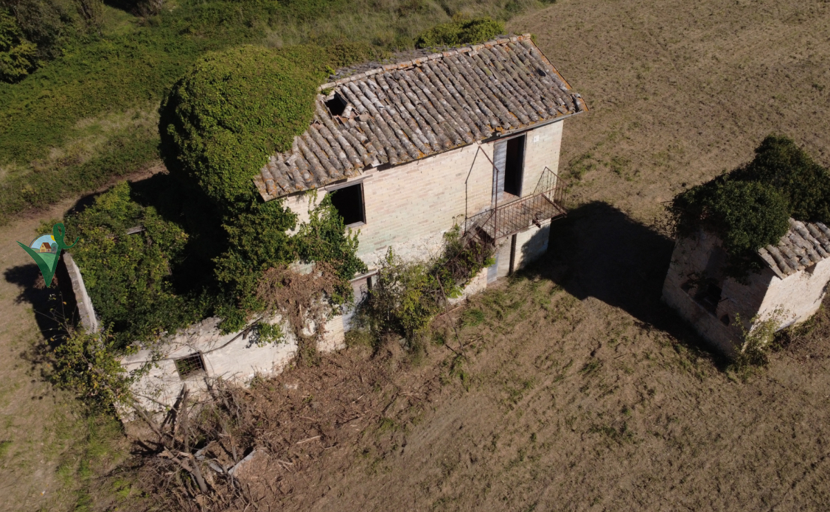 DJI_0454