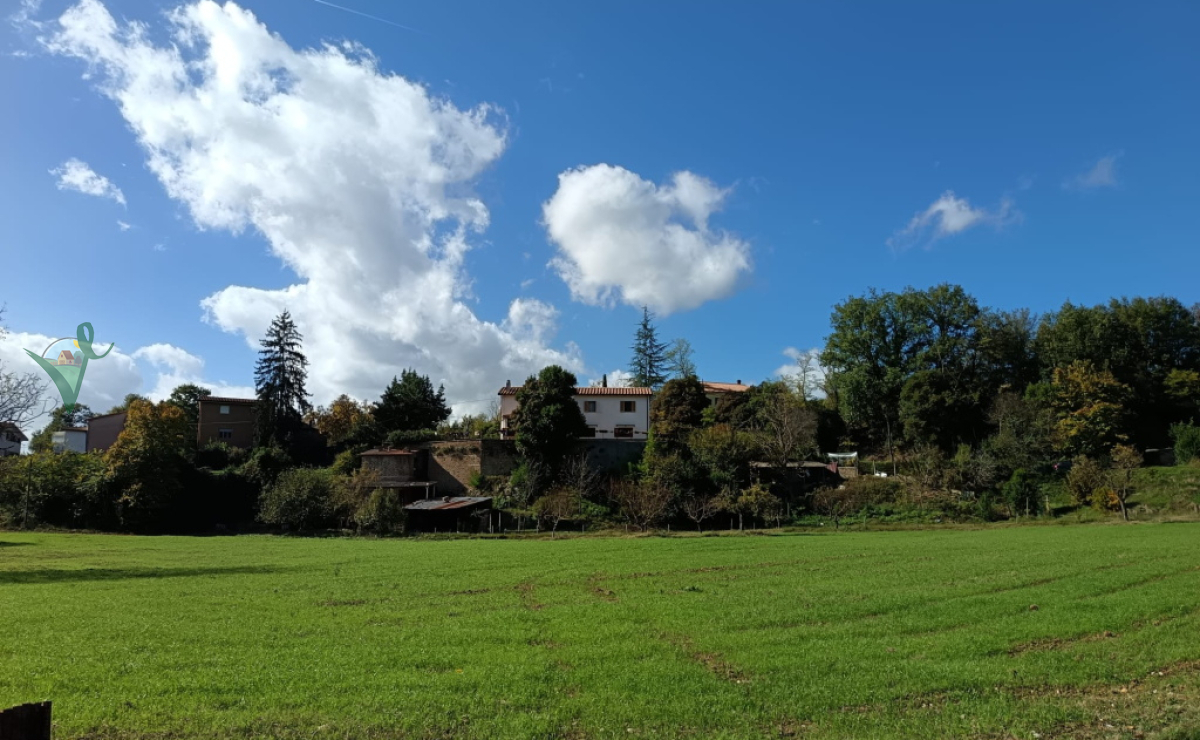 IMG-20251028-WA0011