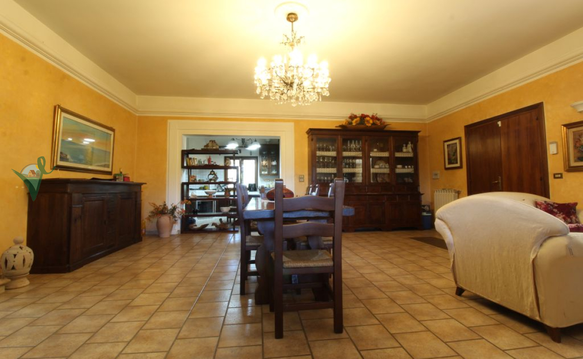 SALONE